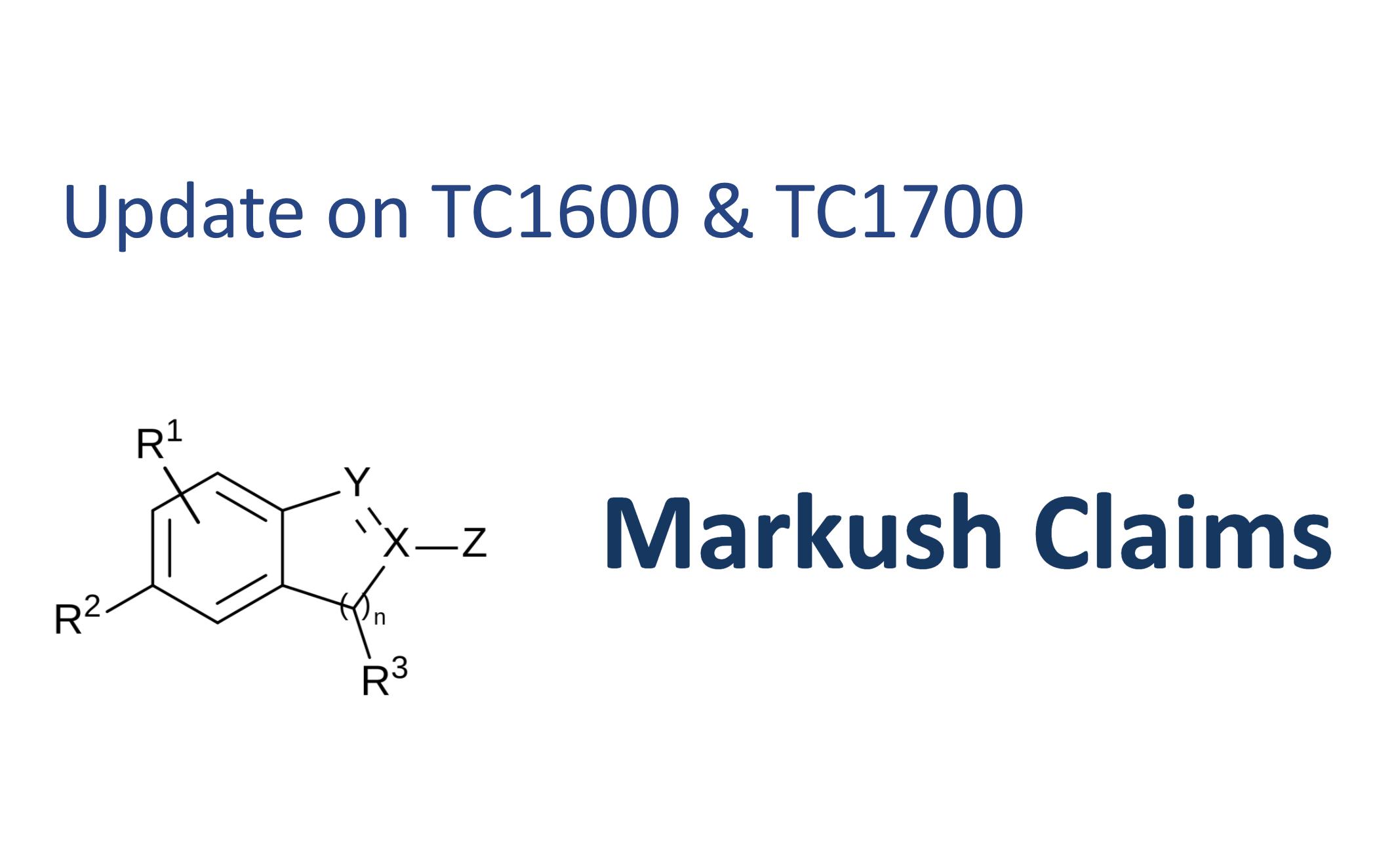 Cover Image for Update on TC1600 and TC1700’s Treatment of Markush Claims